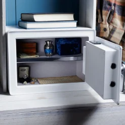 garrett-wade Biometric Safe/Lock Box Sale