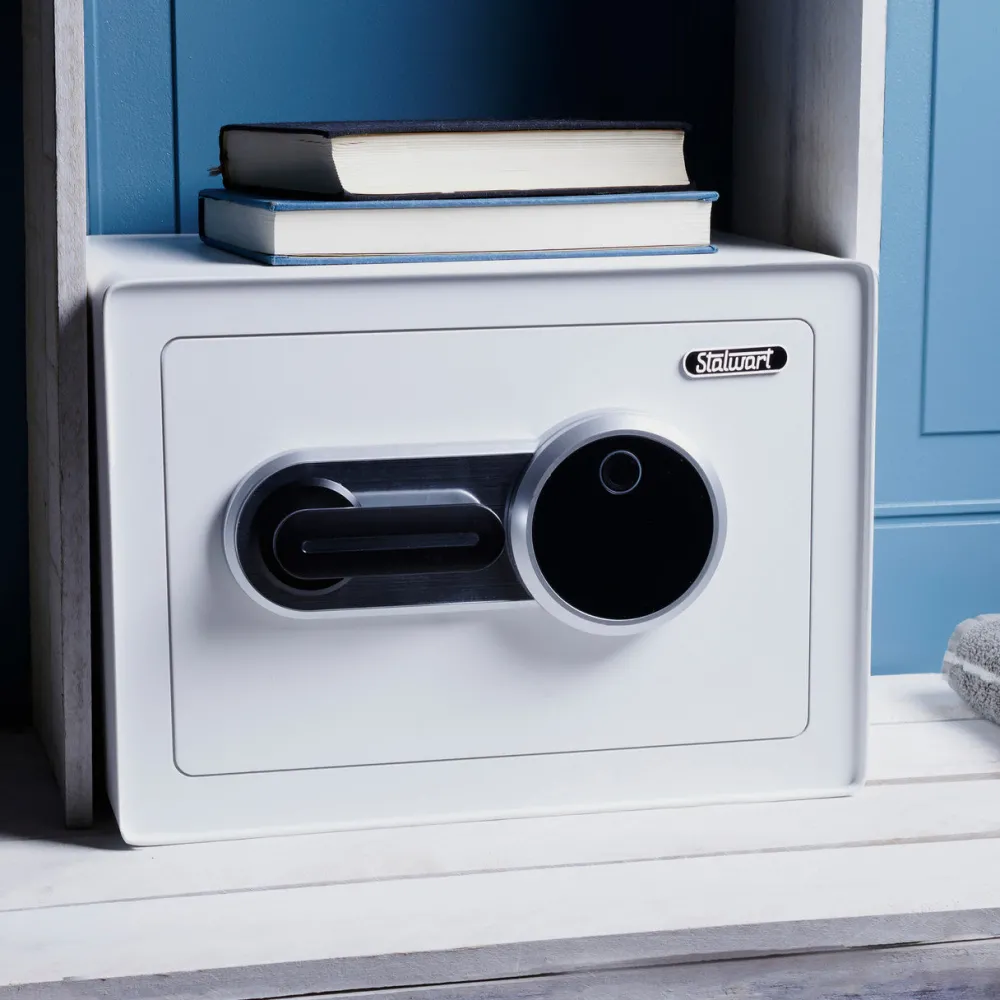 garrett-wade Biometric Safe/Lock Box Sale
