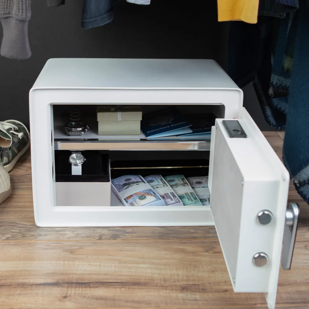 garrett-wade Biometric Safe/Lock Box Sale