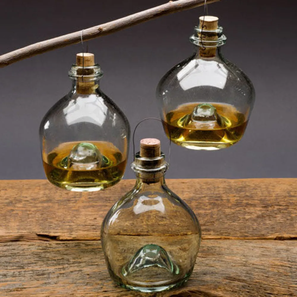 garrett-wade Eco-Friendly Glass Wasp Trap Best