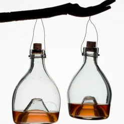 garrett-wade Eco-Friendly Glass Wasp Trap Best