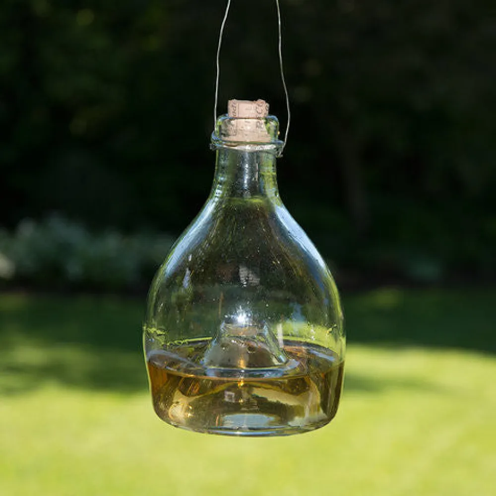 garrett-wade Eco-Friendly Glass Wasp Trap Best