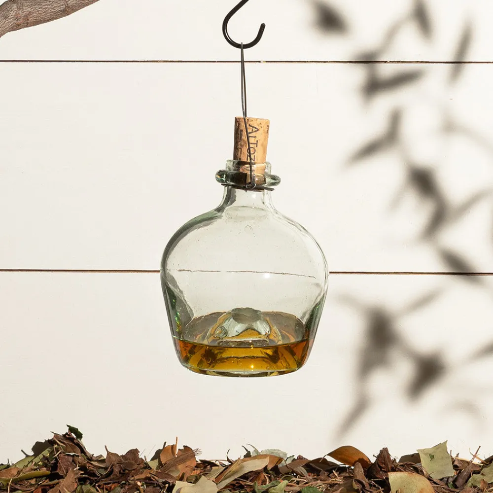garrett-wade Eco-Friendly Glass Wasp Trap Best