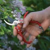 Garrett Wade Everyday Garden Set