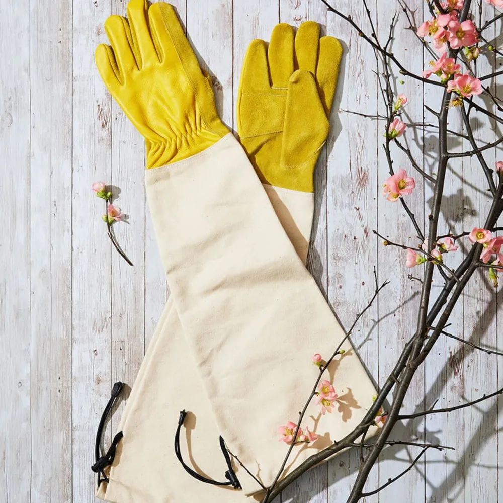 Garrett Wade Flower Lover's Set (4-pc set) Online