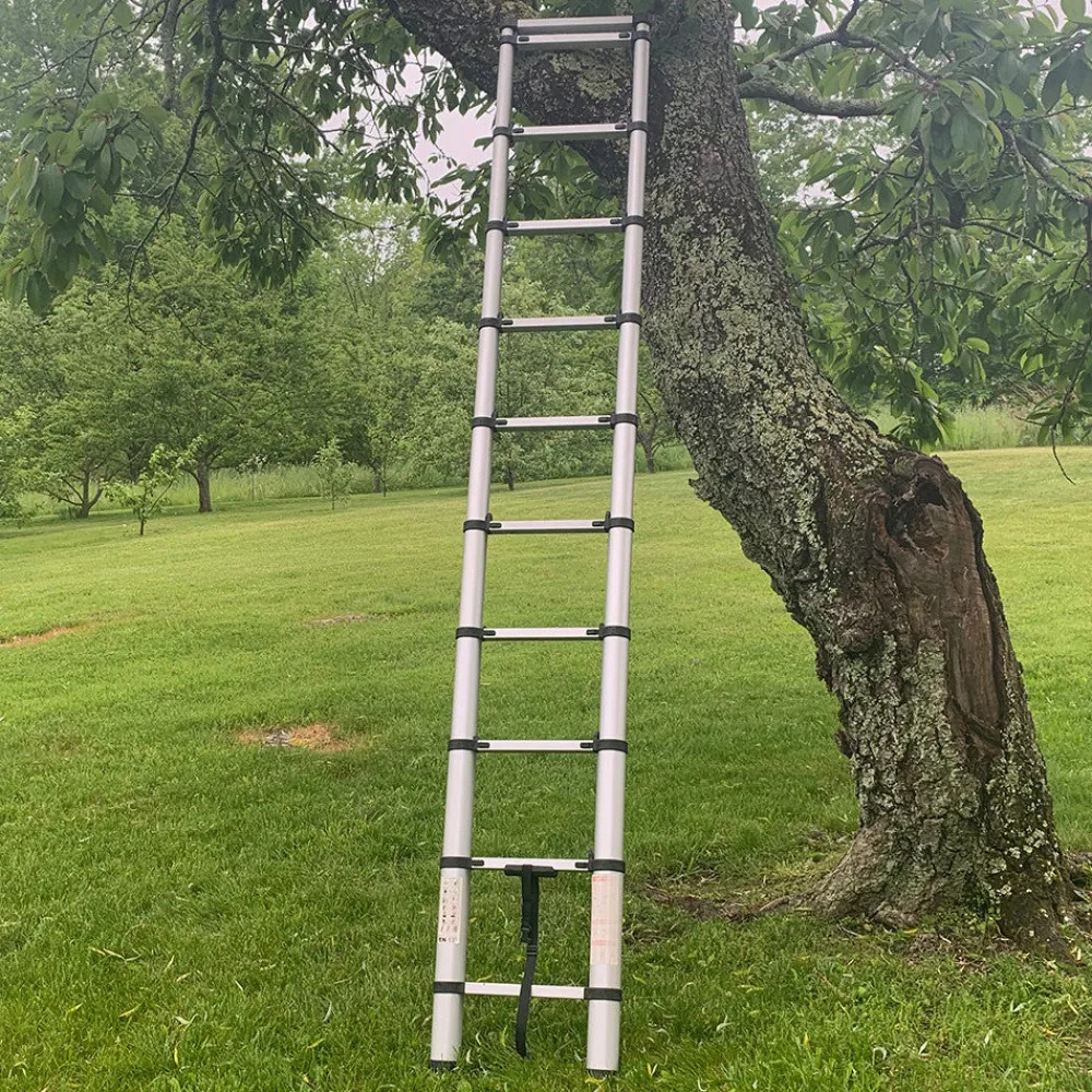 garrett-wade 12-1/2 ft Telescoping Ladder Discount