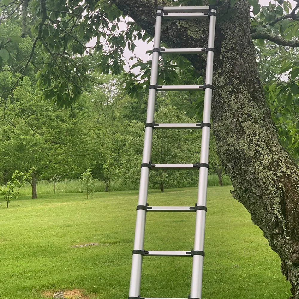 garrett-wade 12-1/2 ft Telescoping Ladder Discount