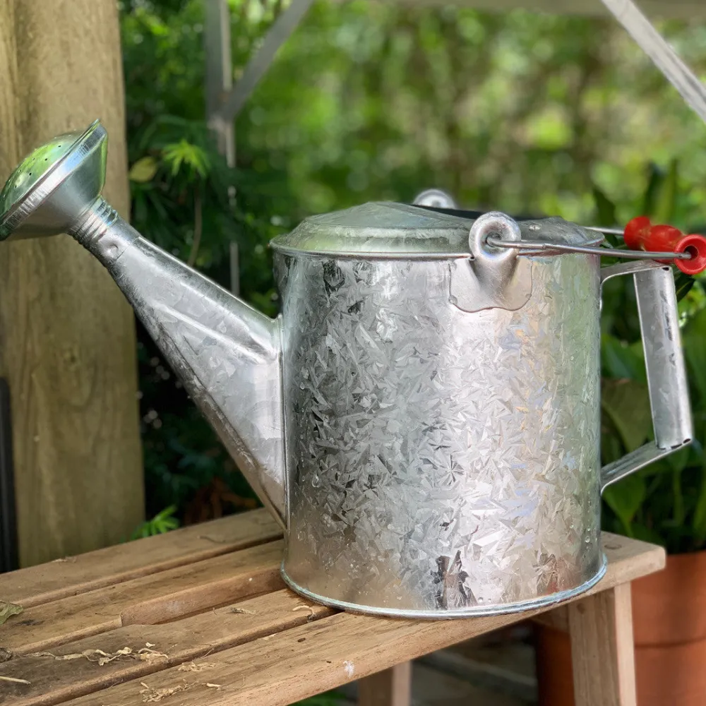 garrett-wade Galvanized 1.5 Gallon Watering Can with Wooden Handle Clearance