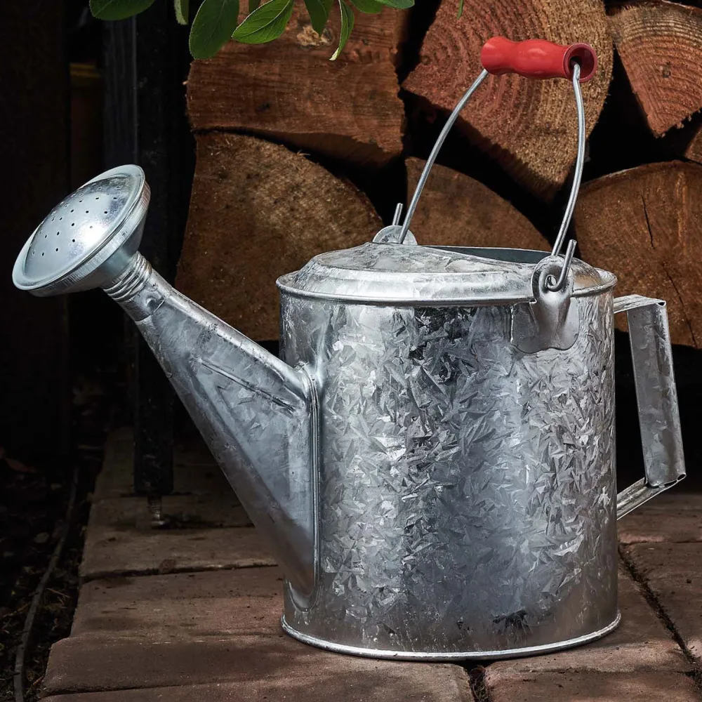 garrett-wade Galvanized 1.5 Gallon Watering Can with Wooden Handle Clearance
