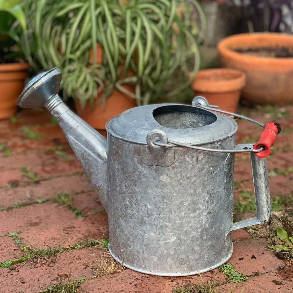 garrett-wade Galvanized 1.5 Gallon Watering Can with Wooden Handle Clearance