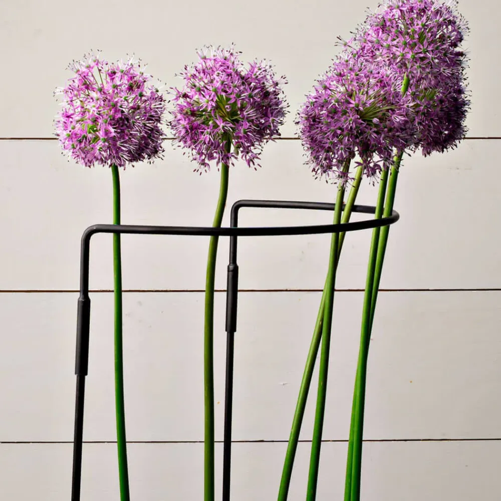 Garrett Wade Garden Support Large Outlet