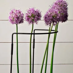 Garrett Wade Garden Support Medium Best