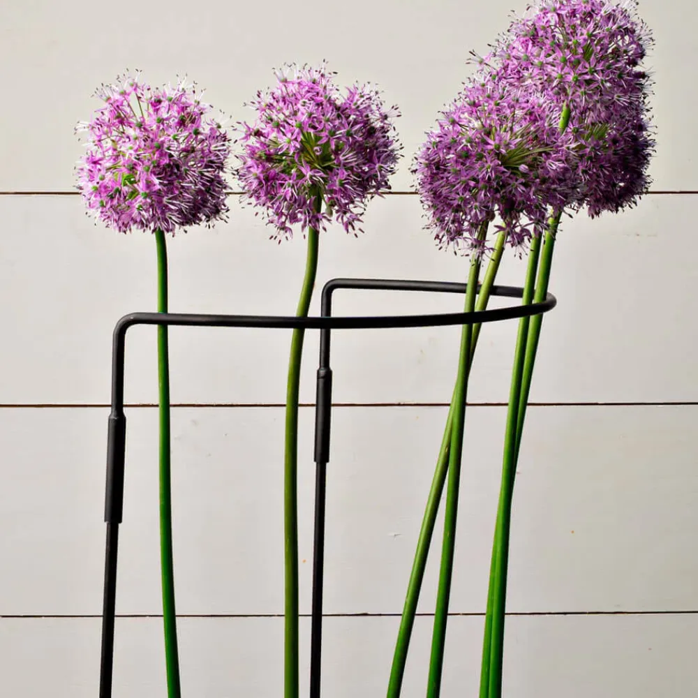 Garrett Wade Garden Support Medium Best