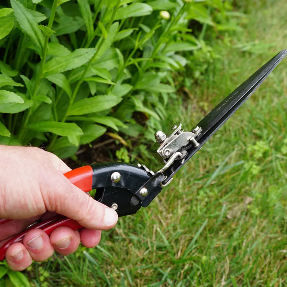 Garrett Wade Grass Trimming Shears
