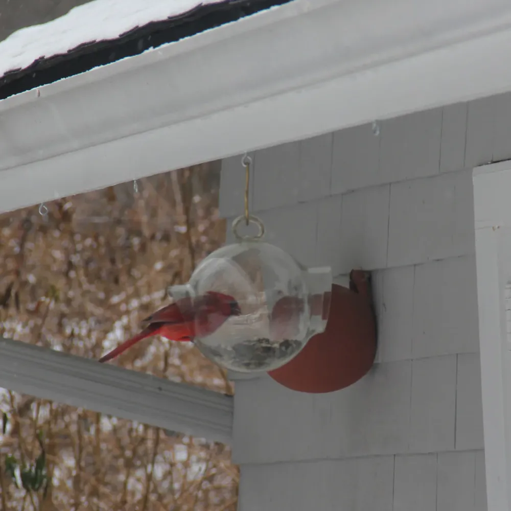 garrett-wade Large Glass Bird Feeder Sale
