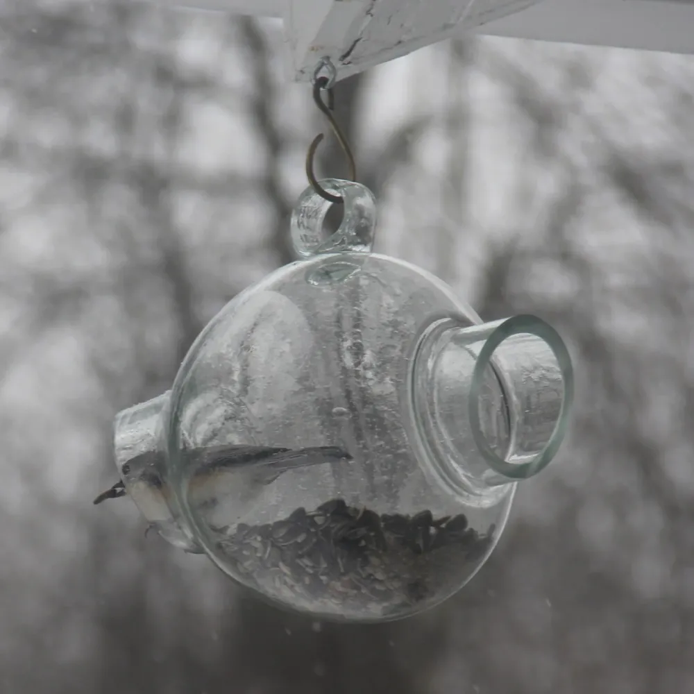 garrett-wade Large Glass Bird Feeder Sale