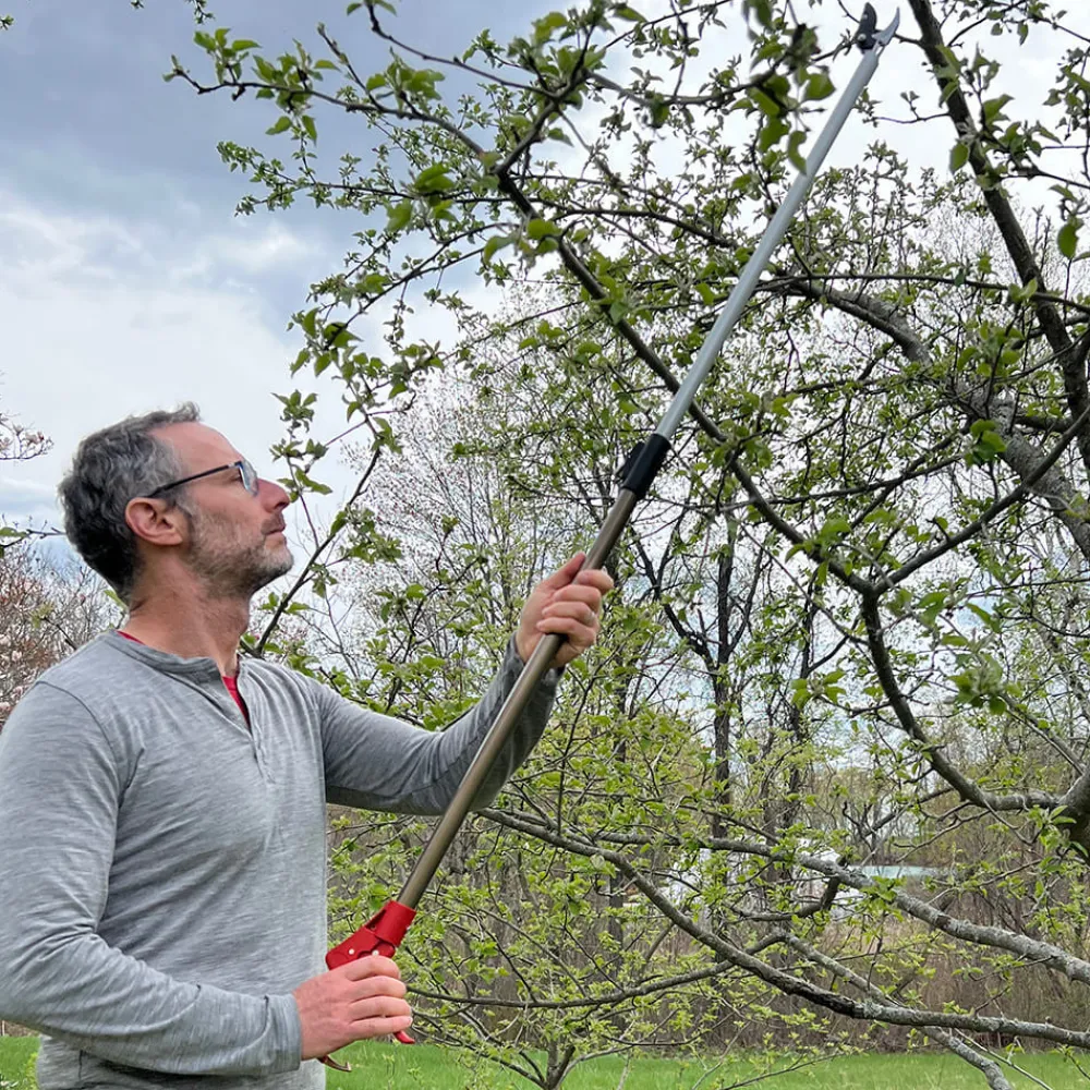 Garrett Wade Long Reach Pruner (Extends to 5 Feet) Best
