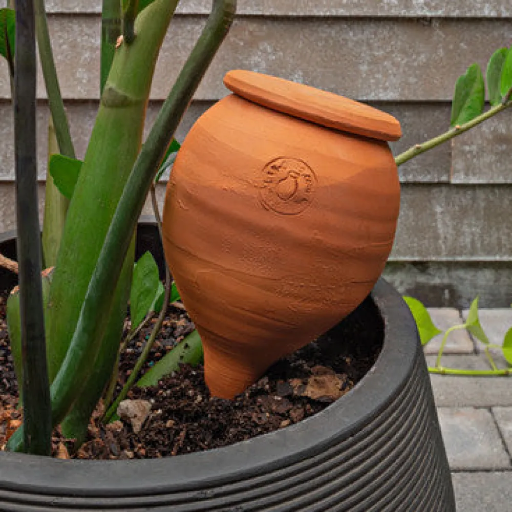 garrett-wade Medium Teardrop-Shaped Terracotta Container Plant Hydrator Outlet