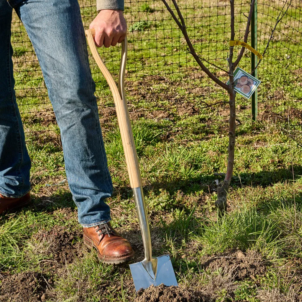 garrett-wade Old World Stainless Steel Shovel with Ash Handle Outlet