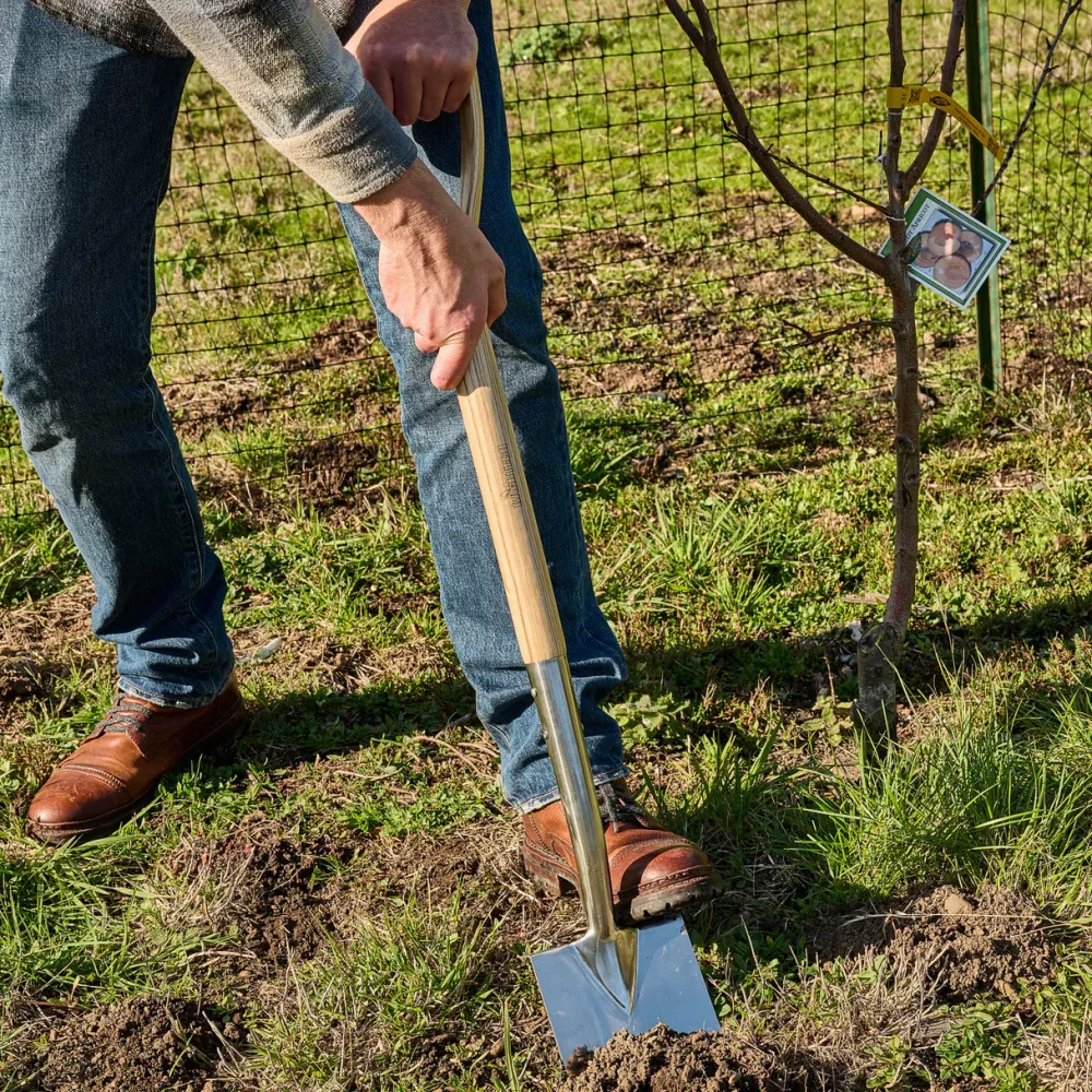 garrett-wade Old World Stainless Steel Shovel with Ash Handle Outlet