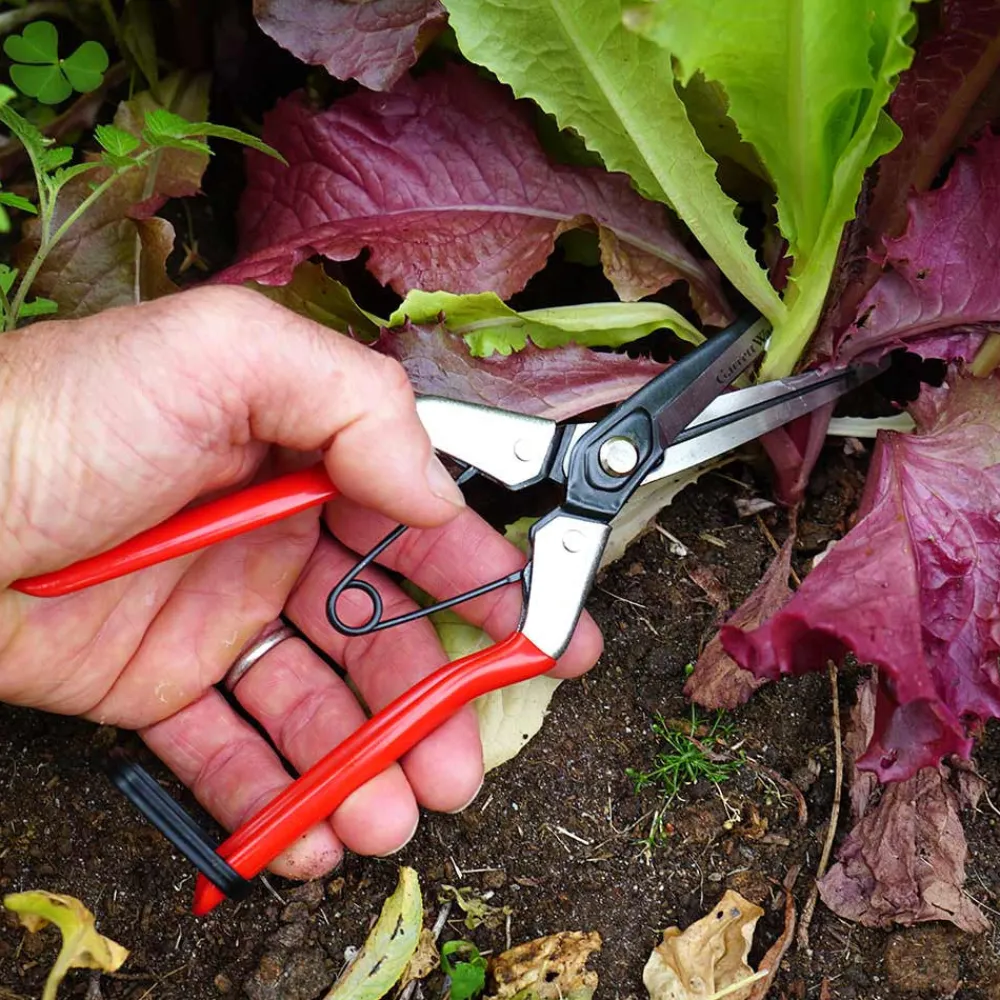Garrett Wade Pair of Handy Gardening Pruners Online