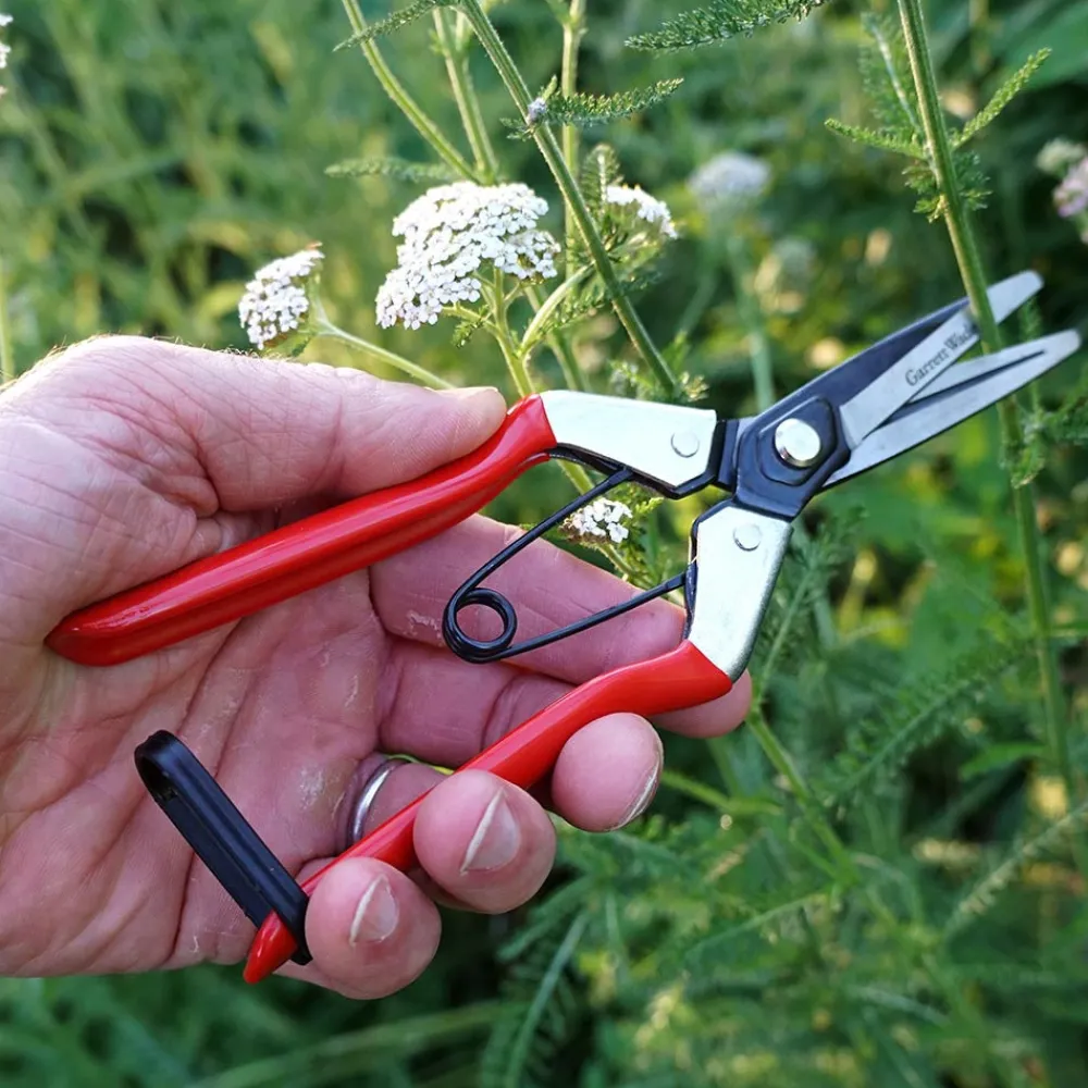 Garrett Wade Pair of Handy Gardening Pruners Online