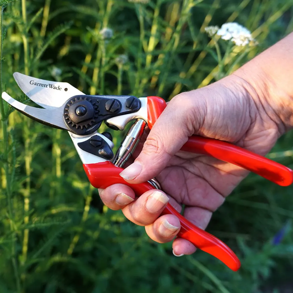 Garrett Wade Pair of Handy Gardening Pruners Online