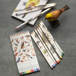 Garrett Wade Set Of 12 Birds & TreesThemed Color Artist Pencils New