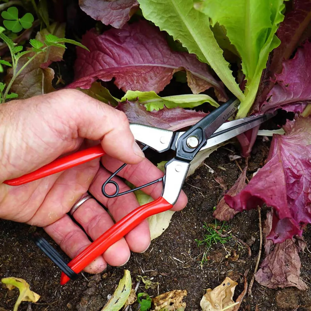 Garrett Wade Spring-Loaded Long-Nose Fruit Scissor Hot