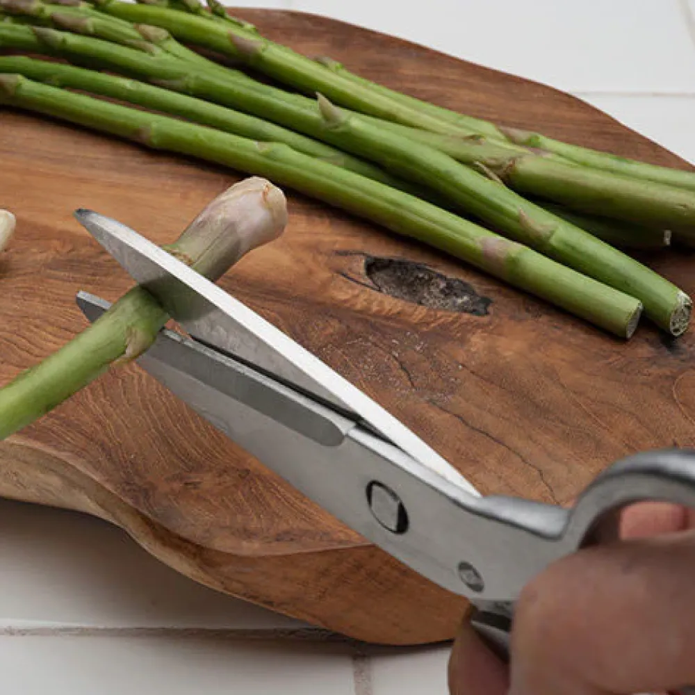 garrett-wade Stainless Steel Kitchen & Household Shears Outlet